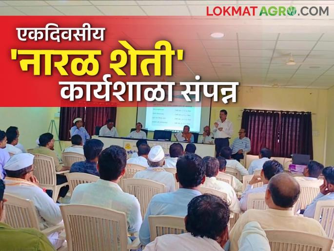 Coconut Farming Workshop : A one-day coconut farming workshop by Kriviken Badnapur was a boon for coconut growers | Coconut Farming Workshop : नारळ उत्पादकांसाठी वरदान ठरली कृविकें बदनापुरची एकदिवसीय नारळ शेती कार्यशाळा Coconut Farming Workshop : A one-day coconut farming workshop by Kriviken Badnapur was a boon for coconut growers | Coconut Farming Workshop : नारळ उत्पादकांसाठी वरदान ठरली कृविकें बदनापुरची एकदिवसीय नारळ शेती कार्यशाळा