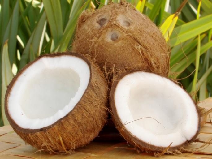 Government coconut sales in Goa, from tomorrow, fixed rates of 15 to 20 rupees | गोव्यात सरकारी नारळ विक्री उद्यापासून, 15 ते 20 रुपयांचा दर निश्चित