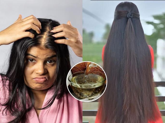 best home remedy to stop hair fall permanently how to use coconut oil with leaves for hair growth natural ways to control dandruff and hair fall | केस गळणं थांबेल कायमचं! नारळाच्या तेलात मिसळा 'ही' हिरवीगार पानं, आठवड्यातून २ वेळा लावा- कोंडाही होईल कमी
