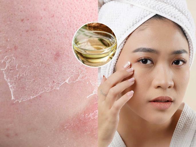 How to use coconut oil on face for glowing skin Best budget-friendly skincare tips at home Natural alternatives to expensive face creams | नारळाचे तेल करते जादू, 'असं' लावा चेहऱ्यावर- त्वचेचा ग्लो वाढेल आणि बँकबॅलन्सही-विसरा महागड्या क्रिम्स