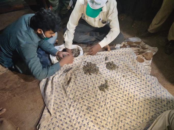 The coin will go into the possession of the archaeologist, legal proceedings begin: report submitted | ती नाणी जाणार पुरातत्त्वच्या ताब्यात, कायदेशीर प्रक्रिया सुरू : अहवाल सादर The coin will go into the possession of the archaeologist, legal proceedings begin: report submitted | ती नाणी जाणार पुरातत्त्वच्या ताब्यात, कायदेशीर प्रक्रिया सुरू : अहवाल सादर