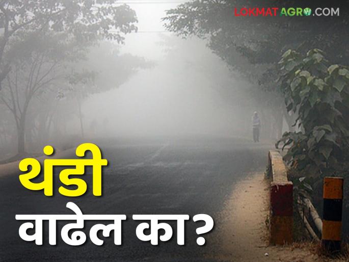 Maharashtra Weather Update: Temperatures will fluctuate in the state for the next three days | Maharashtra Weather Update : पुढील तीन दिवस राज्यामध्ये तापमानात चढ उतार राहणार Maharashtra Weather Update: Temperatures will fluctuate in the state for the next three days | Maharashtra Weather Update : पुढील तीन दिवस राज्यामध्ये तापमानात चढ उतार राहणार