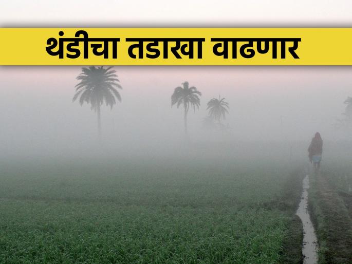 Chances of increase in the cold with decrease in minimum temperature | किमान तापमानात घट होऊन गारठा वाढण्याची शक्यता
