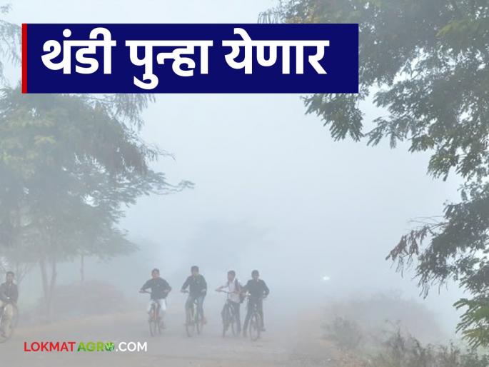 Maharashtra Weather Update : Due to northerly wind, cold will intensify again; How is the winter forecast? | Maharashtra Weather Update : उत्तरेकडून वाहणाऱ्या वाऱ्यामुळे थंडी पुन्हा जोर धरणार; कसा असेल थंडीचा अंदाज Maharashtra Weather Update : Due to northerly wind, cold will intensify again; How is the winter forecast? | Maharashtra Weather Update : उत्तरेकडून वाहणाऱ्या वाऱ्यामुळे थंडी पुन्हा जोर धरणार; कसा असेल थंडीचा अंदाज