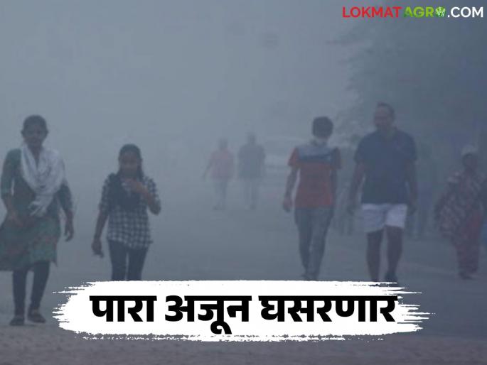 The minimum temperature will drop further in the next three days; What is the temperature in different parts of the state? | पुढील तीन दिवस किमान तापमान आणखी घसरणार; राज्यात कुठे किती तापमान? The minimum temperature will drop further in the next three days; What is the temperature in different parts of the state? | पुढील तीन दिवस किमान तापमान आणखी घसरणार; राज्यात कुठे किती तापमान?