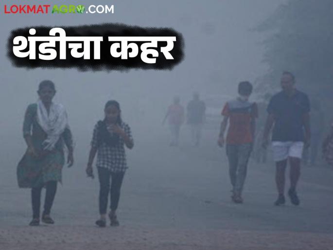 Maharashtra Weather Update : Cold increases due to the effect of anticyclonic wind; How many days cold? | Maharashtra Weather Update : अँटिसायक्लोनिक विंडच्या प्रभावामुळे थंडीत वाढ; अजून किती दिवस कुल? Maharashtra Weather Update : Cold increases due to the effect of anticyclonic wind; How many days cold? | Maharashtra Weather Update : अँटिसायक्लोनिक विंडच्या प्रभावामुळे थंडीत वाढ; अजून किती दिवस कुल?