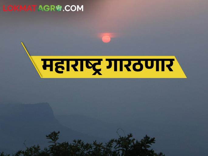 The severity of the cold will increase; How will the cold be in Maharashtra? | थंडीचा कडाका वाढणार; कशी असेल महाराष्ट्रातील थंडी? The severity of the cold will increase; How will the cold be in Maharashtra? | थंडीचा कडाका वाढणार; कशी असेल महाराष्ट्रातील थंडी?