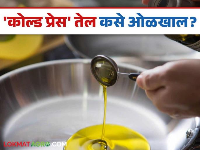What is the difference between cold pressed oil and refined oil? Let's understand in simple language | कोल्ड प्रेस तेल व रिफाइन्ड तेल यातील फरक काय? समजून घेऊया सोप्या भाषेत What is the difference between cold pressed oil and refined oil? Let's understand in simple language | कोल्ड प्रेस तेल व रिफाइन्ड तेल यातील फरक काय? समजून घेऊया सोप्या भाषेत