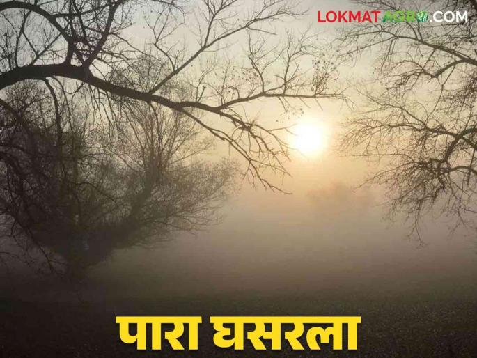 Maharashtra Weather Update : Winter has arrived in the state Where has the lowest temperature been recorded? | Maharashtra Weather Update : राज्यात थंडीचे आगमन कुठे झाली सगळ्यात कमी तापमानाची नोंद Maharashtra Weather Update : Winter has arrived in the state Where has the lowest temperature been recorded? | Maharashtra Weather Update : राज्यात थंडीचे आगमन कुठे झाली सगळ्यात कमी तापमानाची नोंद