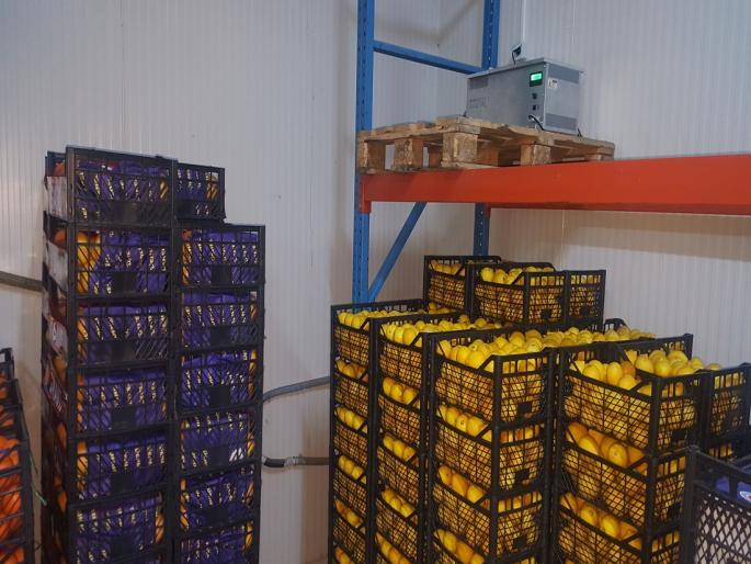 Provision of Rs 8,460 crore for Maharashtra under Agricultural Infrastructure Fund | कृषी पायाभूत सुविधा निधी अंतर्गत महाराष्ट्रासाठी ८,४६० कोटी रुपयांची तरतूद