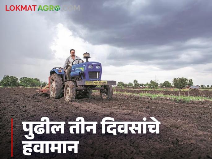 Latest News Maharashtra Weather Update last two weeks Why haven't we felt cold Read weather forecast | Maharashtra Weather Update : गेले दोन आठवडे कशामुळे थंडी जाणवली नाही? वाचा हवामान अंदाज  Latest News Maharashtra Weather Update last two weeks Why haven't we felt cold Read weather forecast | Maharashtra Weather Update : गेले दोन आठवडे कशामुळे थंडी जाणवली नाही? वाचा हवामान अंदाज