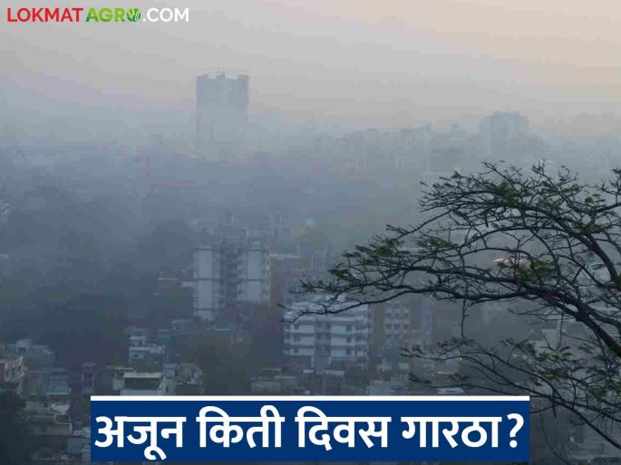 The influence of the cold wind from the north has increased; How many more days will the severe cold persist in the state? | उत्तरेकडील थंड वाऱ्याचा प्रभाव वाढला; राज्यात अजून किती दिवस थंडीचा कडाका? The influence of the cold wind from the north has increased; How many more days will the severe cold persist in the state? | उत्तरेकडील थंड वाऱ्याचा प्रभाव वाढला; राज्यात अजून किती दिवस थंडीचा कडाका?