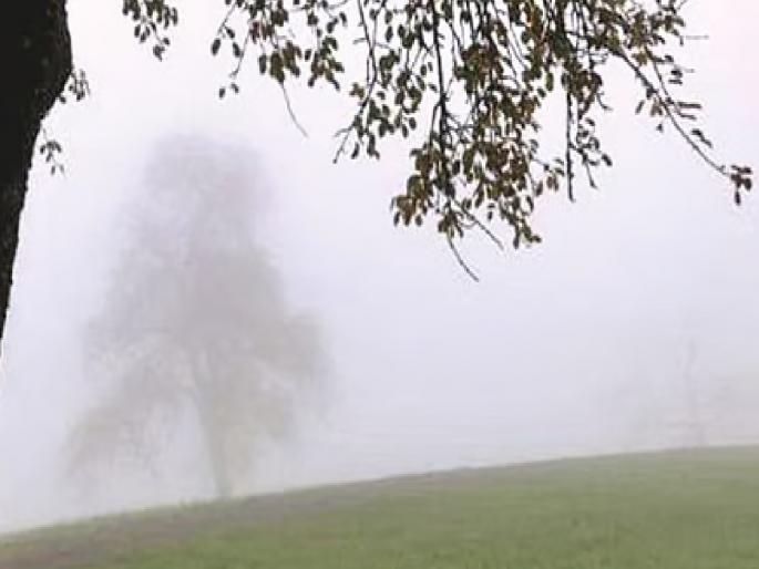 Latur: Terana Kath gets cold again, temperature in Aurad drops to 8 degrees! Crops may get damaged | Latur: तेरणा काठ पुन्हा गारठला, औरादचे तापमान ८ अंशांवर ! पिकांना बांधा होण्याची शक्यता Latur: Terana Kath gets cold again, temperature in Aurad drops to 8 degrees! Crops may get damaged | Latur: तेरणा काठ पुन्हा गारठला, औरादचे तापमान ८ अंशांवर ! पिकांना बांधा होण्याची शक्यता