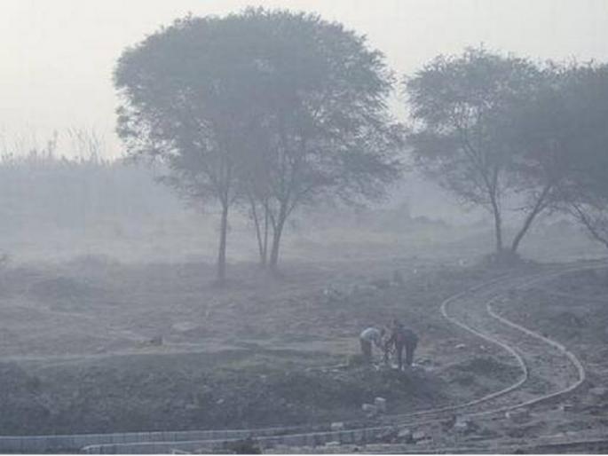Farmer's Doctor: A sudden increase in cold weather and livestock conservation | शेतीचा डॉक्टर : अचानक वाढलेल्या थंडीत पीक आणि पशुधनाचे असे करा संरक्षण...
