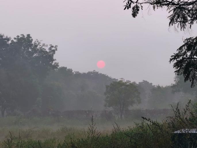Cold Wave in Marathwada: Cold wave wreaks havoc in Parbhani, mercury at 5.9 degrees; 'humidity' for three days | Cold Wave in Marathwada: परभणीमध्ये थंडीचा कहर, पारा ५.९ अंशांवर; तीन दिवसांपासून ‘हुडहुडी’ Cold Wave in Marathwada: Cold wave wreaks havoc in Parbhani, mercury at 5.9 degrees; 'humidity' for three days | Cold Wave in Marathwada: परभणीमध्ये थंडीचा कहर, पारा ५.९ अंशांवर; तीन दिवसांपासून ‘हुडहुडी’