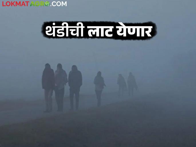Maharashtra Weather Update : Meteorological department has warned of cold wave in the state; Read in detail | Maharashtra Weather Update : राज्यात हवामान खात्याने दिला थंडीच्या लाटेचा इशारा; वाचा सविस्तर