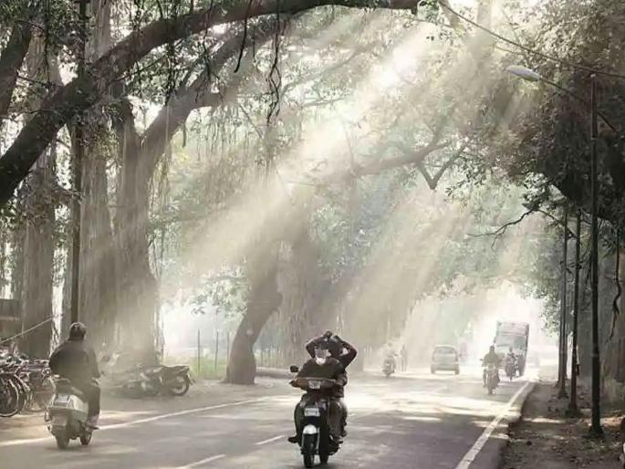 Cold's Comeback; The temperature dropped by 4 degrees; Garatha will last for ten days  | थंडीचे कमबॅक; तापमान ४ अंशांनी घटले; दहा दिवस गारठा टिकणार  Cold's Comeback; The temperature dropped by 4 degrees; Garatha will last for ten days  | थंडीचे कमबॅक; तापमान ४ अंशांनी घटले; दहा दिवस गारठा टिकणार
