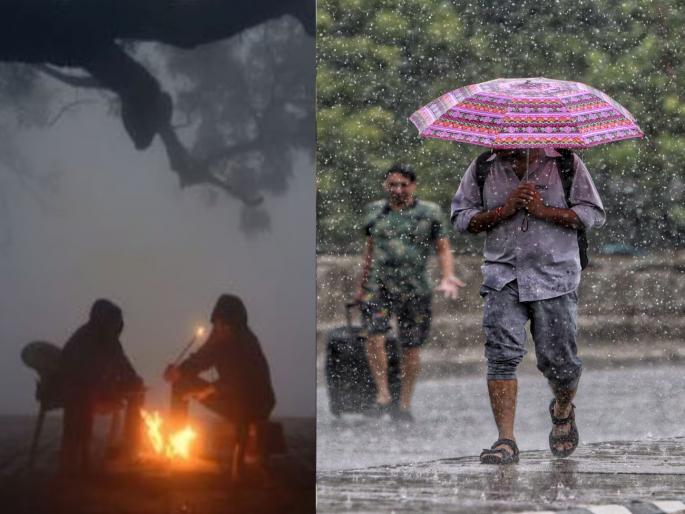 Cold winter wave has passed, chances of rain for 2-3 days in the Maharashtra weather alert; Yellow alert for some districts... | थंडी पळाली, राज्यात २-३ दिवस पावसाची शक्यता; काही जिल्ह्यांना यलो अलर्ट... Cold winter wave has passed, chances of rain for 2-3 days in the Maharashtra weather alert; Yellow alert for some districts... | थंडी पळाली, राज्यात २-३ दिवस पावसाची शक्यता; काही जिल्ह्यांना यलो अलर्ट...