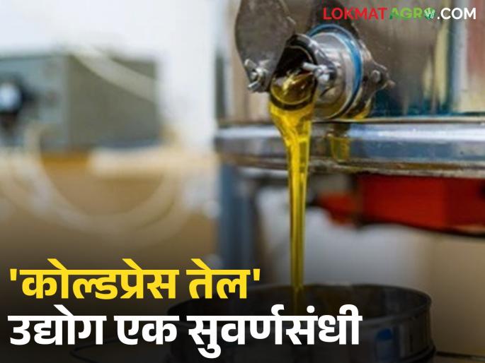 Cold press oil industry is a golden opportunity for farmers; a business that offers high profits with low investment | शेतकऱ्यांसाठी कोल्डप्रेस तेल उद्योग एक सुवर्णसंधी; कमी गुंतवणुकीत जास्त नफा देणारा व्यवसाय