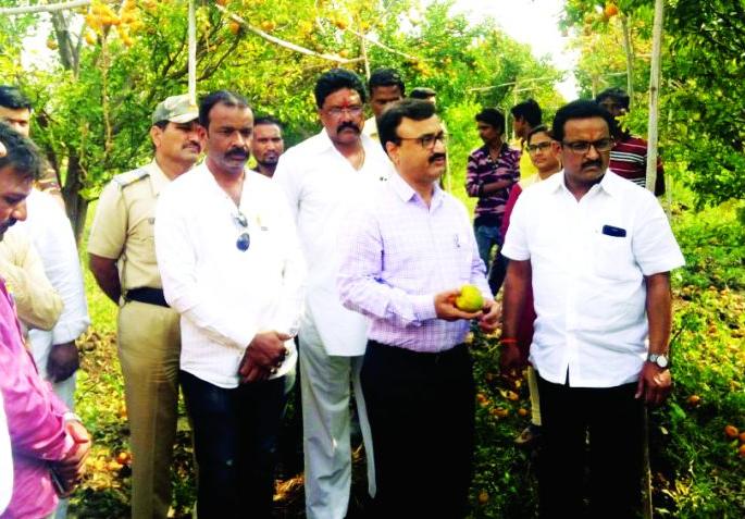 Buldana: District Collector reached hailstorm bandhita! | बुलडाणा : जिल्हाधिकारी पोहोचले गारपीटग्रस्तांच्या बांधावर!