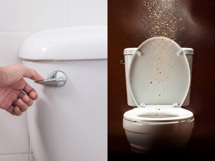 Flushing the toilet with the lid open is extremely dangerous, health tips, read and learn | कमोडचं झाकण उघडं ठेवून फ्लश करणं भयंकर धोक्याचं, पाहा का बिघडतात लोकांच्या तब्येती