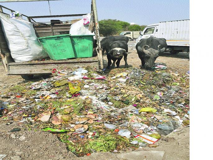 Salt-waste waste composting process started | साता-यात कचरा कंपोस्टिंग प्रक्रिया सुरू