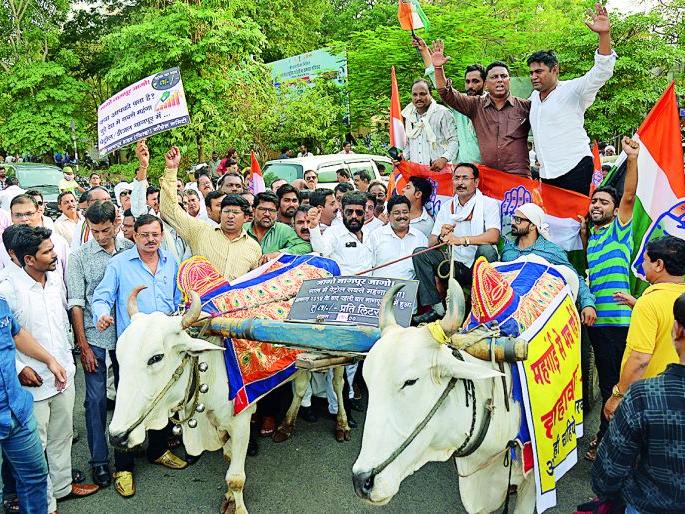 Congress bullock cart rally against inflation in Nagpur | नागपुरात महागाई विरोधात काँग्रेसचा बैलगाडी मोर्चा Congress bullock cart rally against inflation in Nagpur | नागपुरात महागाई विरोधात काँग्रेसचा बैलगाडी मोर्चा