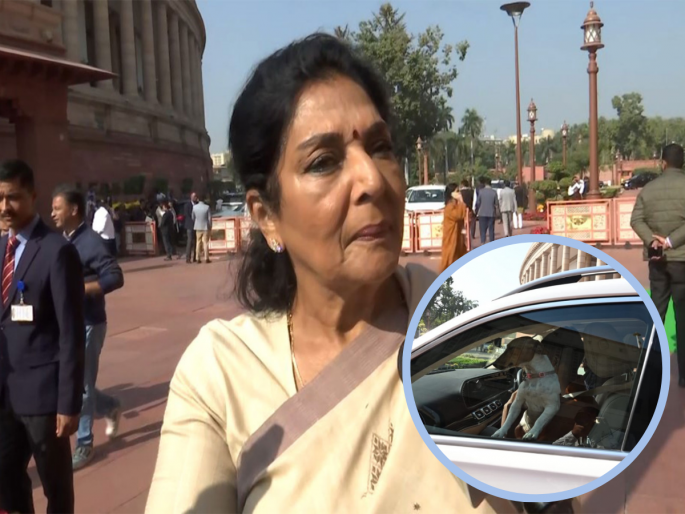 Congress MP Renuka Chaudhary on bringing puppy to Parliament | Renuka Chaudhary: चक्क श्वानाला घेऊन काँग्रेस खासदार संसदेत पोहचल्या; सत्ताधारी भाजपानं घातला गोंधळ, काय घडलं? Congress MP Renuka Chaudhary on bringing puppy to Parliament | Renuka Chaudhary: चक्क श्वानाला घेऊन काँग्रेस खासदार संसदेत पोहचल्या; सत्ताधारी भाजपानं घातला गोंधळ, काय घडलं?