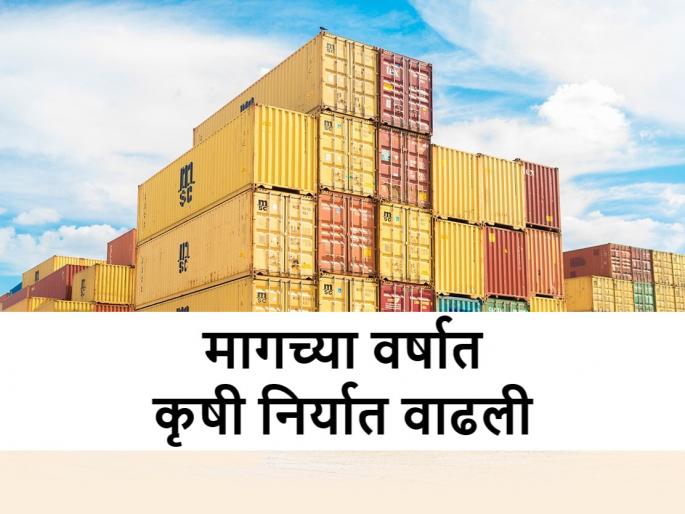 Agricultural exports in FY 2022-23 reached to $26.7 billion | देशातील कृषी निर्यात २०२२-२३ मध्ये पोहोचली २६.७ अब्ज डॉलर्सवर Agricultural exports in FY 2022-23 reached to $26.7 billion | देशातील कृषी निर्यात २०२२-२३ मध्ये पोहोचली २६.७ अब्ज डॉलर्सवर