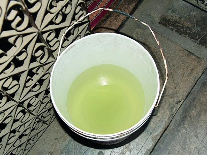 Contaminated Water supply in Nagpur, insects and larva from the tap | नागपुरात दूषित पाणीपुरवठा, नळातून किडे अन् लार्व्हा