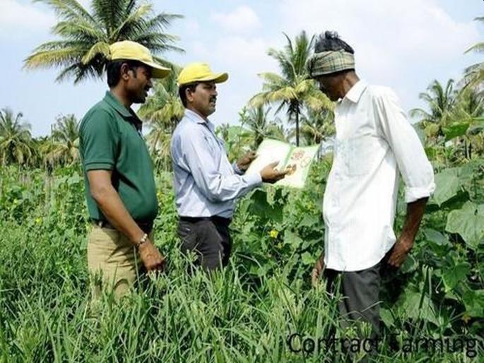 Contract farming: company cheated 97 farmers in BJP rulling state; fled with money | कंत्राटी शेती : भाजपाच्या राज्यात 97 शेतकऱ्यांना फसविले; पैसे घेऊन कंपनी पळाली Contract farming: company cheated 97 farmers in BJP rulling state; fled with money | कंत्राटी शेती : भाजपाच्या राज्यात 97 शेतकऱ्यांना फसविले; पैसे घेऊन कंपनी पळाली