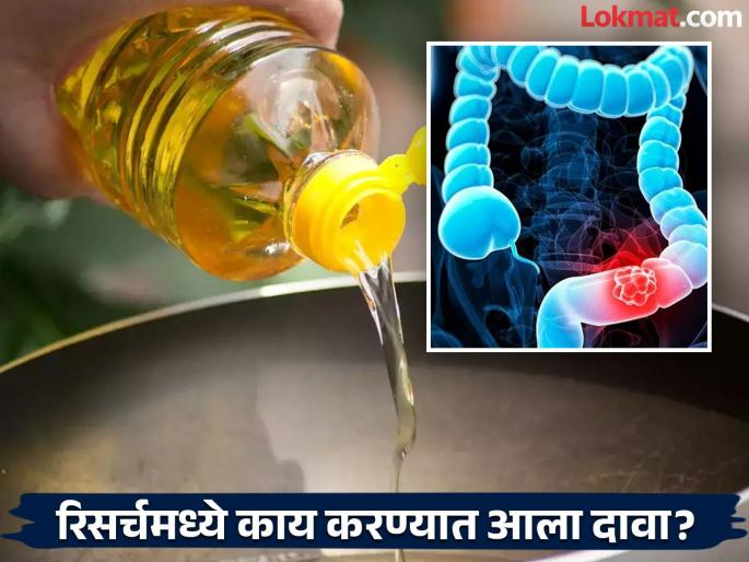 Cooking seeds oil can cause cancer claims American research | खायच्या तेलामुळे वाढतोय कॅन्सरचा धोका? अमेरिकन रिसर्चमधून धक्कादायक खुलासा! Cooking seeds oil can cause cancer claims American research | खायच्या तेलामुळे वाढतोय कॅन्सरचा धोका? अमेरिकन रिसर्चमधून धक्कादायक खुलासा!