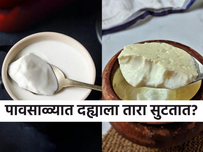 3 tips for making sweet, thick curd at home in monsoon, kitchen tips for making curd at home in rainy days, why do curd becomes sticky? | पावसाळ्यात दही लवकर लागत नाही, चिकट होतं? बघा ३ टिप्स - विरजा गोड घट्ट कवडी दही