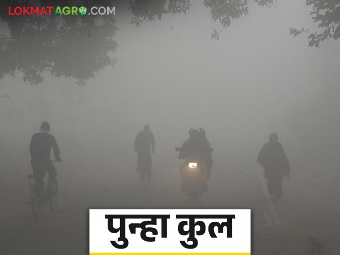 Maharashtra Weather Update : Due to strong winds blowing from the west, cold weather is expected in the state | Maharashtra Weather Update : पश्चिमेकडून वाहणाऱ्या जोरदार वाऱ्यांमुळे राज्यात थंडी वाढण्याचा अंदाज