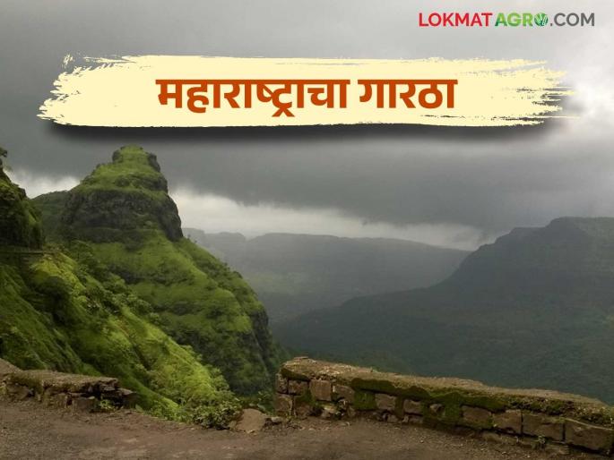 Maharashtra Weather Update : Yellow alert issued in these districts due to cold wave in the state | Maharashtra Weather Update : चक्रीवादळामुळे राज्यात थंडीची लाट या जिल्ह्यांत यलो अलर्ट जारी वाचा सविस्तर