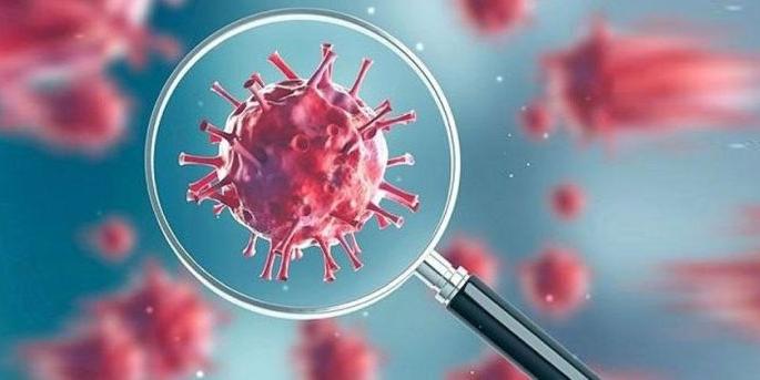 Corona suspected of moving to Hyderabad from Mumbai | मुंबईहून हैदराबादला पायी निघालेली महिला कोरोना संदिग्ध;पातुरवरून अकोला हलविले