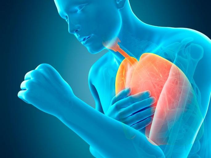 The dust, the carbon particles in the air, are causing the COPD | धूळ, हवेतील कार्बन कण ठरताहेत श्वसनसंस्थेसाठी कर्दनकाळ The dust, the carbon particles in the air, are causing the COPD | धूळ, हवेतील कार्बन कण ठरताहेत श्वसनसंस्थेसाठी कर्दनकाळ