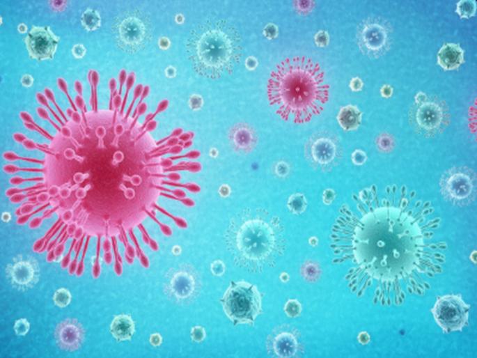 The Indian virus was found in 50 per cent of coronaviruses in the state | Coronavirus: ब्रिटन, ब्राझील नाही! राज्यात ५० टक्के काेरोनाबाधितांमध्ये आढळला भारतीय प्रकारचा विषाणू The Indian virus was found in 50 per cent of coronaviruses in the state | Coronavirus: ब्रिटन, ब्राझील नाही! राज्यात ५० टक्के काेरोनाबाधितांमध्ये आढळला भारतीय प्रकारचा विषाणू