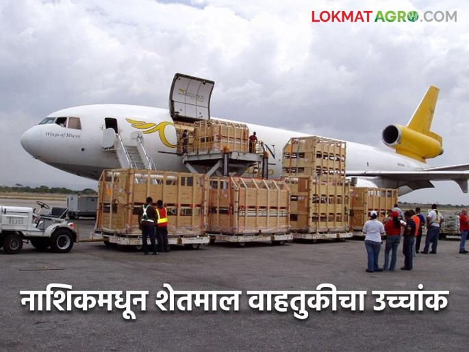 Latest News Record 1146 million tonnes of agricultural produce exported from Nashik in single month, read in detail | Nashik Cargo service : नाशिकहून एकाच महिन्यात 1146 मे. टन विक्रमी शेतमालाची निर्यात, वाचा सविस्तर Latest News Record 1146 million tonnes of agricultural produce exported from Nashik in single month, read in detail | Nashik Cargo service : नाशिकहून एकाच महिन्यात 1146 मे. टन विक्रमी शेतमालाची निर्यात, वाचा सविस्तर