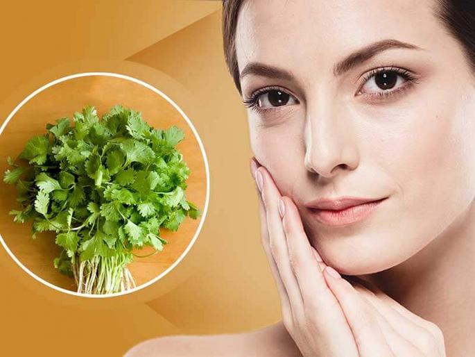 Dhania or Coriander face pack for wrinkles and oily skin | सुरकुत्या आणि पिंपल्स दूर करण्यासाठी कोथिंबीरचा खास फेसपॅक, तेलकट त्वचेसाठीही फायदेशीर! Dhania or Coriander face pack for wrinkles and oily skin | सुरकुत्या आणि पिंपल्स दूर करण्यासाठी कोथिंबीरचा खास फेसपॅक, तेलकट त्वचेसाठीही फायदेशीर!