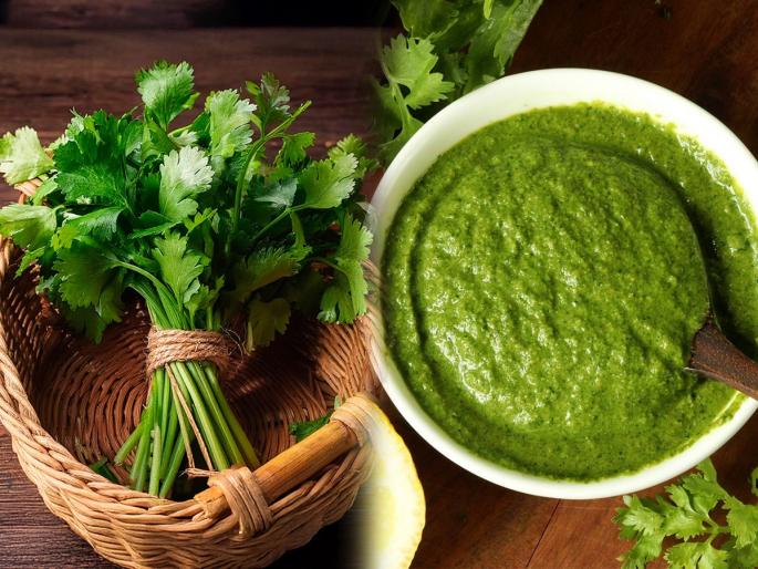 How to make coriander chutney Easy homemade green chutney recipe for sandwiches Best coriander chutney for breakfast and snacks | हिरव्यागार कोथिंबीरीची करा 'अशी' चटणी, सॅण्डविच असो की डोसा-पदार्थाची चवच होईल खास How to make coriander chutney Easy homemade green chutney recipe for sandwiches Best coriander chutney for breakfast and snacks | हिरव्यागार कोथिंबीरीची करा 'अशी' चटणी, सॅण्डविच असो की डोसा-पदार्थाची चवच होईल खास