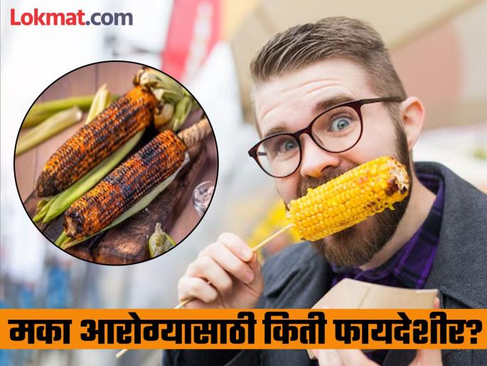 amazing benefits of corn must include in diet will get nutrients weight loss blood sugar | वेगाने कमी होणार लठ्ठपणा, शुगर लेव्हलही कंट्रोल; मका खाण्याचे 'हे' आश्चर्यकारक फायदे