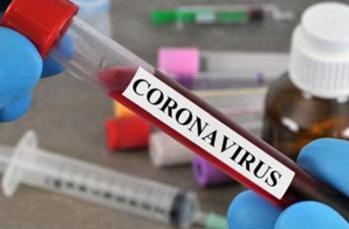 Negatives report of father coming from mercuz; However both children have corona infection | Corona Virus in Chandrapur; मरकजवरून आलेल्या वडिलांचा अहवाल निगेटिव्ह; मात्र दोन्ही मुलांना कोरोना संसर्ग Negatives report of father coming from mercuz; However both children have corona infection | Corona Virus in Chandrapur; मरकजवरून आलेल्या वडिलांचा अहवाल निगेटिव्ह; मात्र दोन्ही मुलांना कोरोना संसर्ग