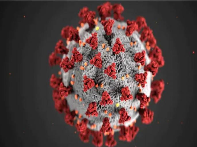 Six patients of influenza found in Thane; Commissioner's instructions to health system to be alert | ठाण्यात आढळले इन्फ्लुएंझाचे सहा रुग्ण; आरोग्य यंत्रणेला सतर्क राहण्याच्या आयुक्तांच्या सूचना Six patients of influenza found in Thane; Commissioner's instructions to health system to be alert | ठाण्यात आढळले इन्फ्लुएंझाचे सहा रुग्ण; आरोग्य यंत्रणेला सतर्क राहण्याच्या आयुक्तांच्या सूचना