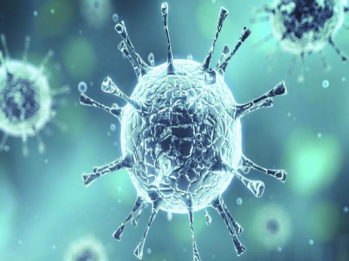 Corona virus : Police report 'positive' with patient's brother of Corona inffected in Baramati | Corona virus : बारामतीत दोघांना कोरोनाचा संसर्ग, रुग्णाच्या भावासह पोलिसाचा अहवाल 'पॉझिटिव्ह'  Corona virus : Police report 'positive' with patient's brother of Corona inffected in Baramati | Corona virus : बारामतीत दोघांना कोरोनाचा संसर्ग, रुग्णाच्या भावासह पोलिसाचा अहवाल 'पॉझिटिव्ह'