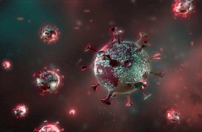 Explain the role of free corona therapy; High Court order | नि:शुल्क कोरोना उपचारावर भूमिका सांगा; उच्च न्यायालयाचा आदेश Explain the role of free corona therapy; High Court order | नि:शुल्क कोरोना उपचारावर भूमिका सांगा; उच्च न्यायालयाचा आदेश