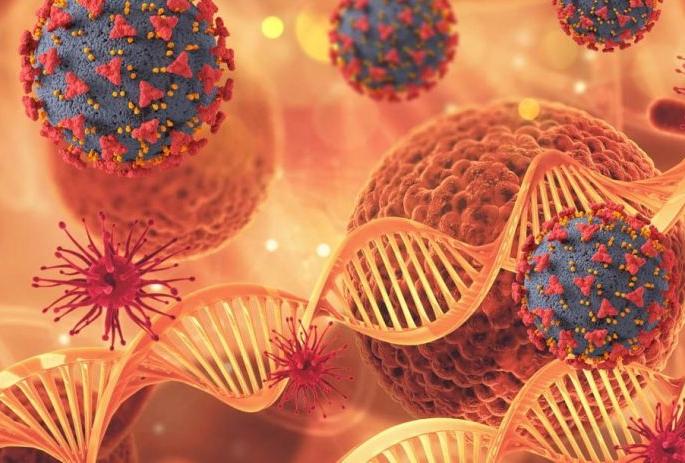 Only 50% of employees enter Yavatmal Zilla Parishad | यवतमाळ जिल्हा परिषदेत केवळ ५० टक्के कर्मचाऱ्यांनाच एन्ट्री