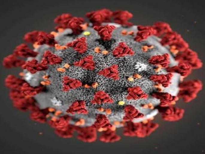 coronavirus: 7 more infected in Aurangabad; At 2271 patients | coronavirus : औरंगाबादेत आणखी ७ बाधितांची वाढ; रुग्णसंख्या २२७१ वर 