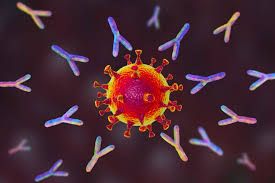 Coronavirus In Aurangabad: Coronavirus infiltrates in the municipal war room | Coronavirus In Aurangabad : महापालिकेच्या वॉर रूममध्ये कोरोनाचा शिरकाव Coronavirus In Aurangabad: Coronavirus infiltrates in the municipal war room | Coronavirus In Aurangabad : महापालिकेच्या वॉर रूममध्ये कोरोनाचा शिरकाव