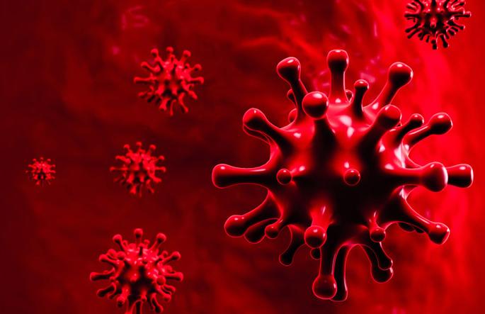 In Nagpur, 13 patients tested positive and two died | CoronaVirus in Nagpur : नागपुरात १३ रुग्ण पॉझिटिव्ह, दोघांचा मृत्यू